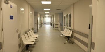 Pionki: Budowa i medycyna