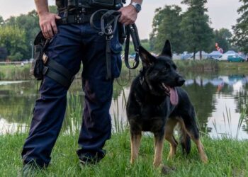 Powiat grójecki: 58-latek zaginął – dwa dni później wytropiła go Pogoda