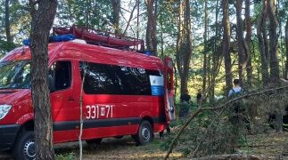 Powiat zwoleński: Wyszedł na grzyby – spędził dwa dni w lesie