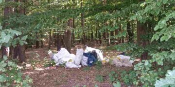 Region radomski: Zostawił w lesie śmieci. Wśród nich… dowód osobisty i zeszyt do przyrody