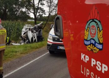 Powiat lipski: Zderzenie ciężarówki z busem na DK79