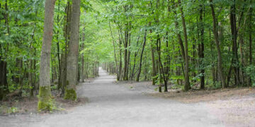 Powiat kozienicki: Rowerem przez Puszczę Kozienicką