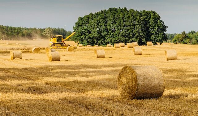 Powiat lipski: Maszyna urwała rękę 44-latka