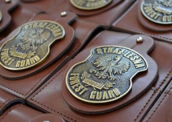 Z kraju / Region radomski: Tropią leśne przestępstwa