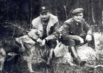 Powiat radomski: Pamięć w kamieniu