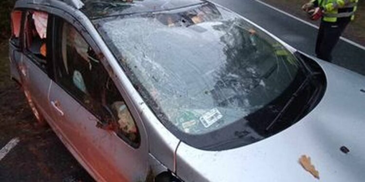 Powiat białobrzeski: Dachowanie po zderzeniu z sarną