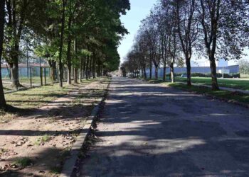 Powiat zwoleński: Nowe oblicze ulicy