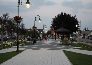 Powiat radomski: Ziemianin-patriota