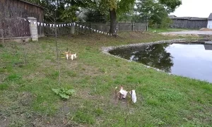 Powiat szydłowiecki: Z Poniatowskim i Napoleonem