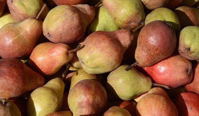 Powiat grójecki: Owoce przestępstwa