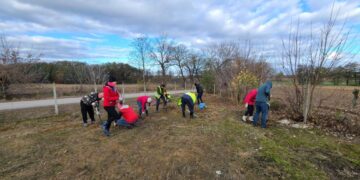 Powiat grójecki: Lipy, buki i dęby