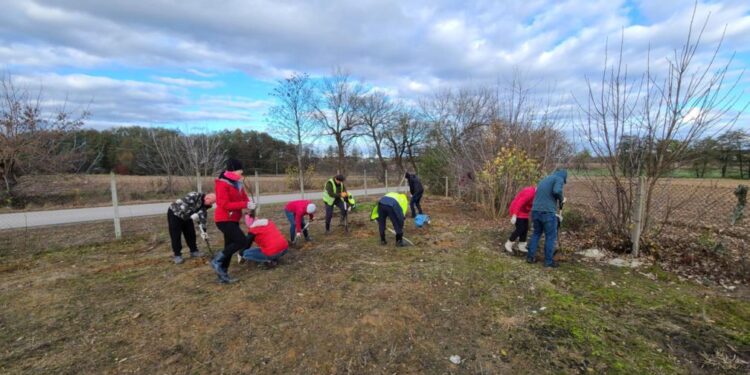 Powiat grójecki: Lipy, buki i dęby
