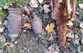 Powiat białobrzeski: Skorodowana śmierć