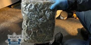 Powiat radomski: Kilka kilogramów marihuany i „białego proszku”