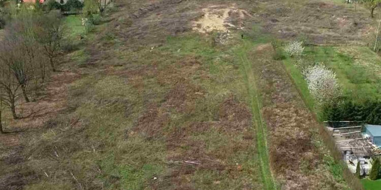 Radom: W skansenie powstanie rynek rodem z małego miasteczka