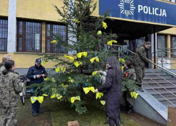 Powiat kozienicki: Choinka pełna (od)blasku