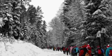 Region radomski: Mikołajkowy marsz przez zimową Puszczę