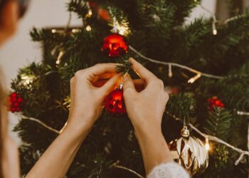 Radom / Region radomski: Oddaj krew – odbierz choinkę!